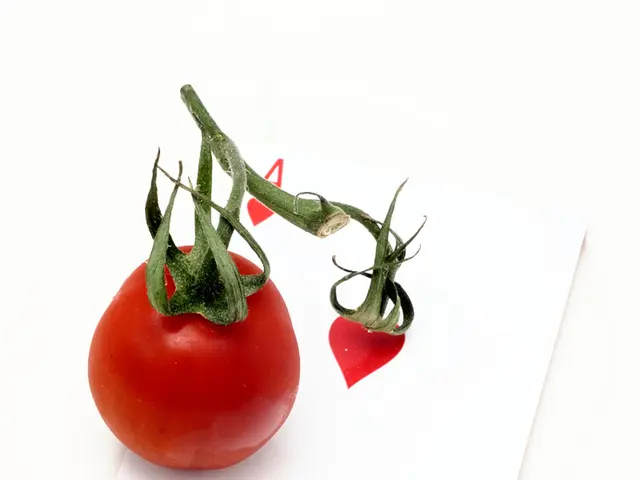 Exploration of Buggy Rewards