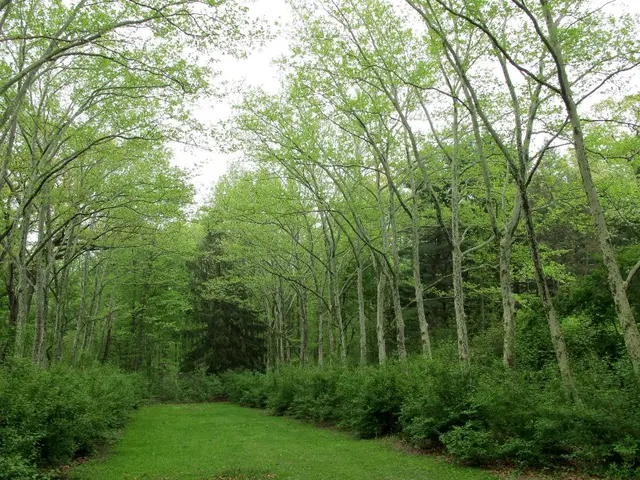 Embracing a Permaculture Philosophy: Extending Garden Principles into Daily Life
